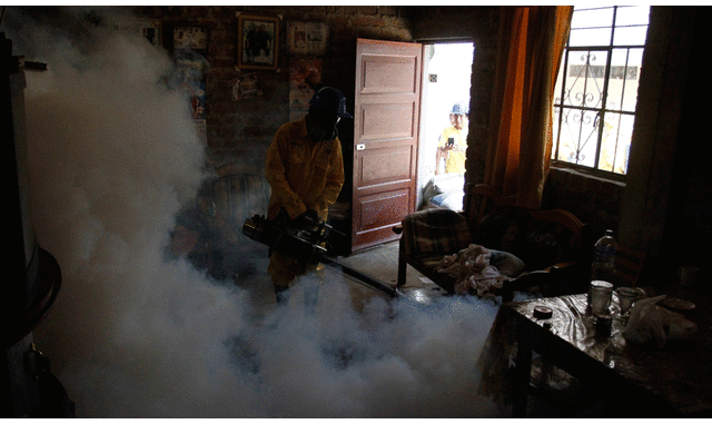 Chincha: Minsa fumigó 12 mil viviendas para controlar el dengue