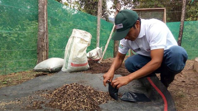 Moyobamba: ejecutan proceso de evaluación para certificar a productores de café