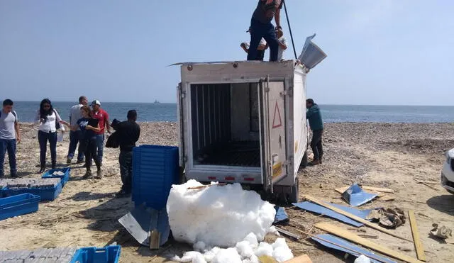 Hallan cargamento de cocaína en camión frigorífico y capturan a cuatro narcos