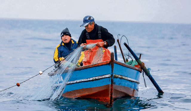 Protección. La sobreexplotación de los recursos pesqueros afecta de forma directa el trabajo de los pescadores artesanales y la seguridad alimentaria. Foto: difusión