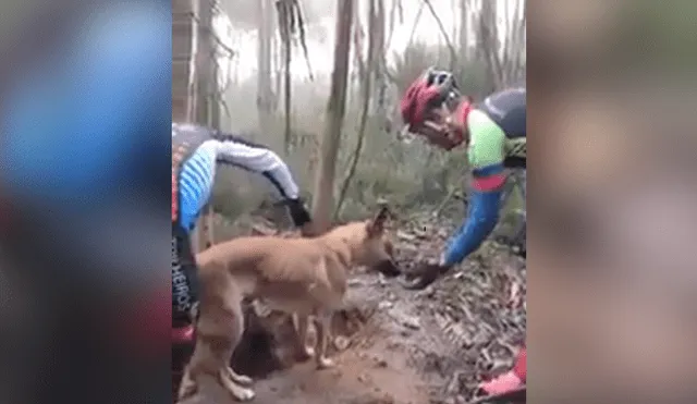 YouTube viral: ciclista detiene su recorrido para rescatar a perro atado a un árbol [VIDEO]