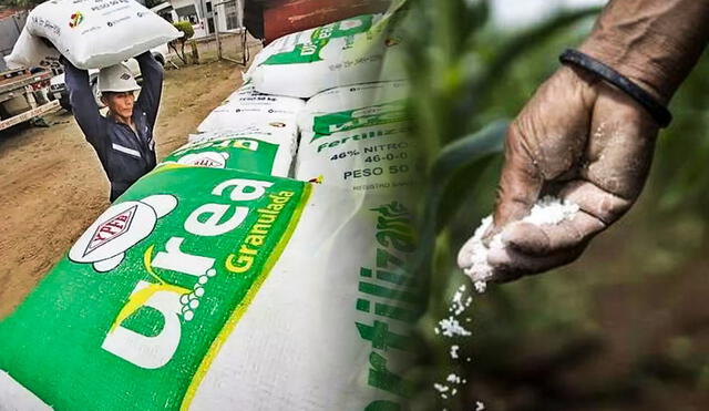 Fertilizantes son cruciales para la campaña agrícola, pero el Estado ha fracasado en los procesos de compra. Composición: LR