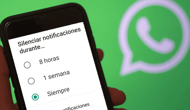 WhatsApp estrena función para silenciar chats de por vida. | Foto: Composición La República / Hayoung Jeon