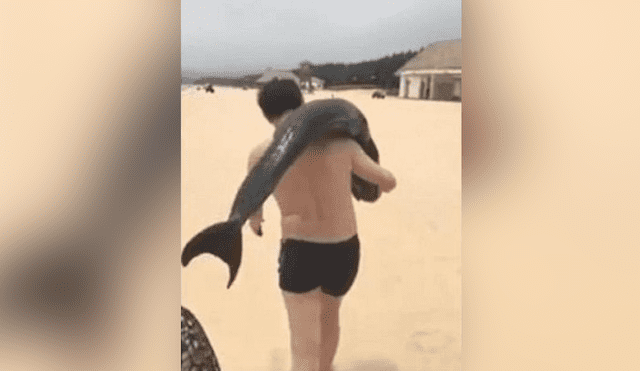 China: captan a turista llevándose delfín al hombro y ahora es buscado [VIDEO]