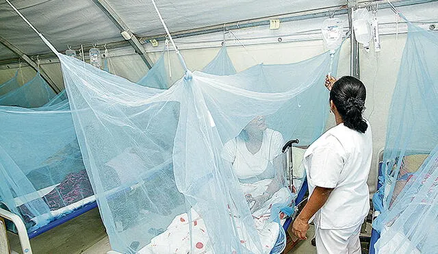 Piura: Salud confirma 28 casos de dengue de 267 notificados