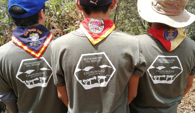 Un grupo de Scouts plantó mil árboles en Churumazú, en el 2019. Fotografía: Michael Ramón.