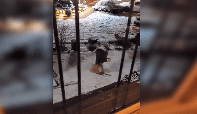 En Facebook, un hombre quería sorprender a su pareja con un amoroso gesto en la nieve y ella lo descubre.