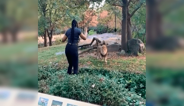 En Facebook, una mujer visitó un zoológico y tuvo una acción imprudente al ingresar a un santuario de leones.