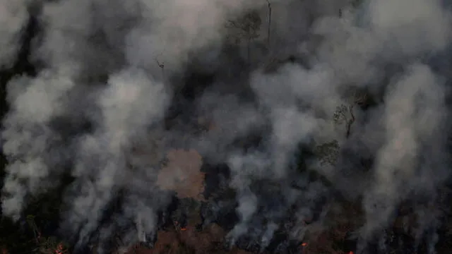 Pray for Amazonas: usuarios de todo el mundo lamentan el incendio en la amazonía de Brasil