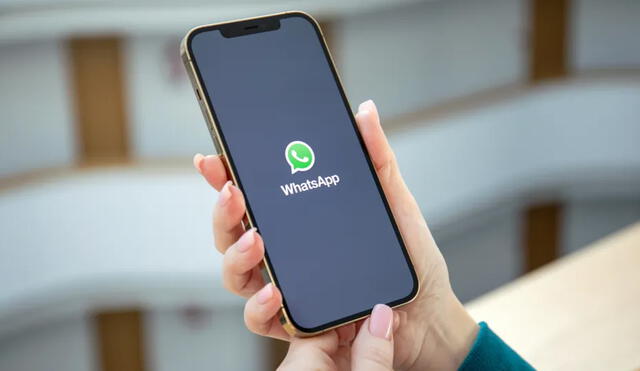 WhatsApp puede eliminar tu cuenta por inactividad. Foto: El Diario de NY