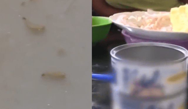 Denuncian presencia de larvas en conservas de atún distribuidas en Satipo [VIDEO]