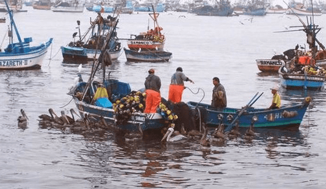 La pesca ilegal en el Perú  representa 500 millones de dólares anualmente