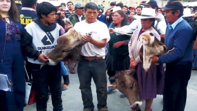 Cajamarca: abigeos fueron capturados por rondas campesinas 