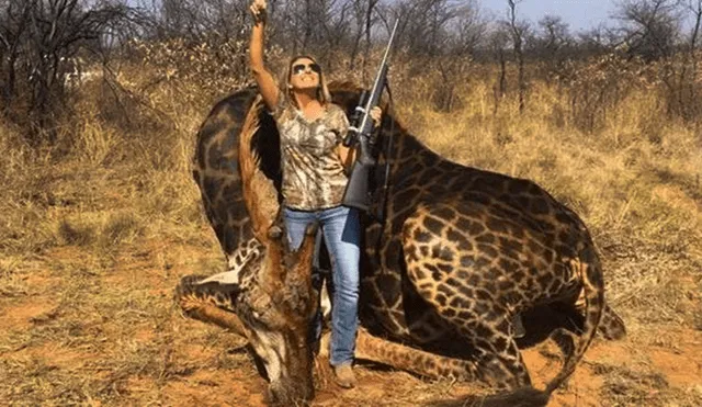 Sudáfrica: Cazadora causa indignación al mostrar jirafa muerta como trofeo [FOTOS]