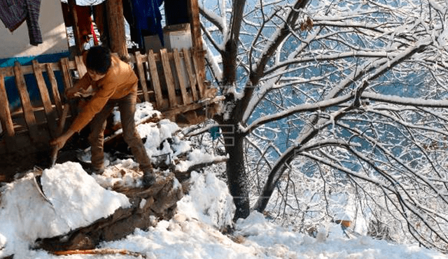 Niña sobrevive 18 horas enterrada bajo la nieve luego que una avalancha sepultara su casa [VIDEO]