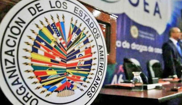 El representante argentino ante la OEA destacó que se acusa solo al gobierno venezolano como único responsable de la situación de emergencia. Foto: AFP