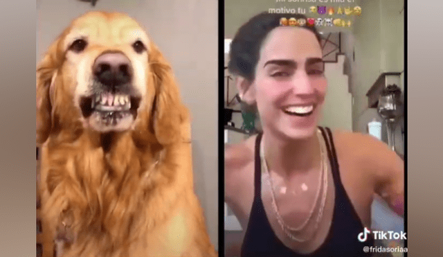 Desliza las imágenes para ver la graciosa escena que protagonizó un perro en TikTok.