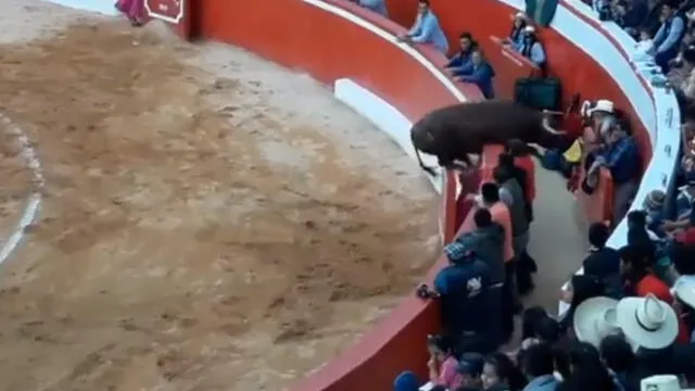 Cajamarca: Enfurecido toro sale de ruedo y cornea a varios asistentes[VIDEO]