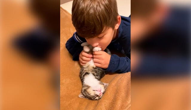 Desliza las imágenes para apreciar la sincera amistad entre un gato y un pequeño tras protagonizar una tierna escena. Foto: Captura de Facebook