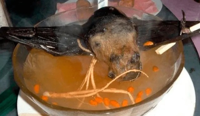 Sopa de murciélago coronavirus china
