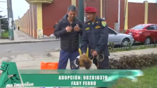 Pancho Cavero promueve adopción de mascota abandonada por Escuadrón de Emergencia [VIDEO]