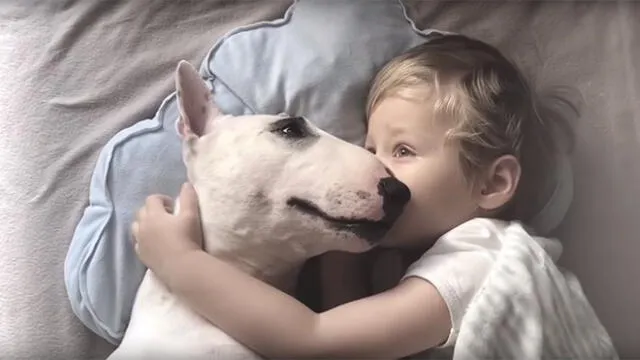 YouTube Viral: Niño y su perro conmueven a miles de usuarios por su manera peculiar de dormir [VIDEO] 