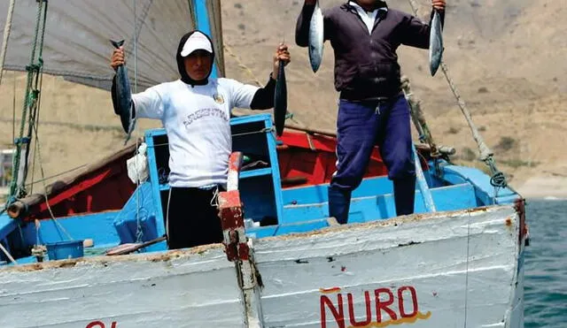 Cuarentena afecta pesca artesanal.