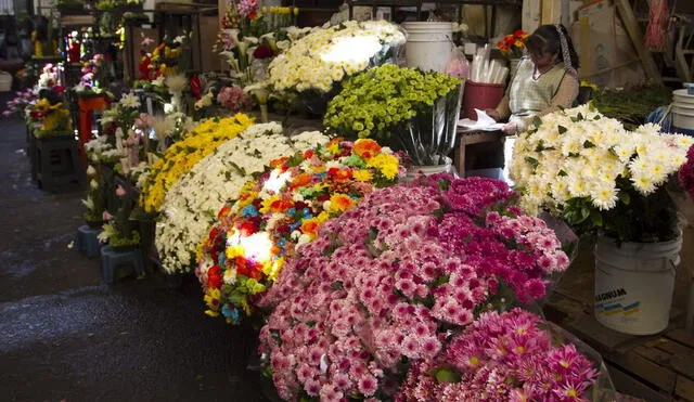 Asociación de Mercado de Flores y Plantas