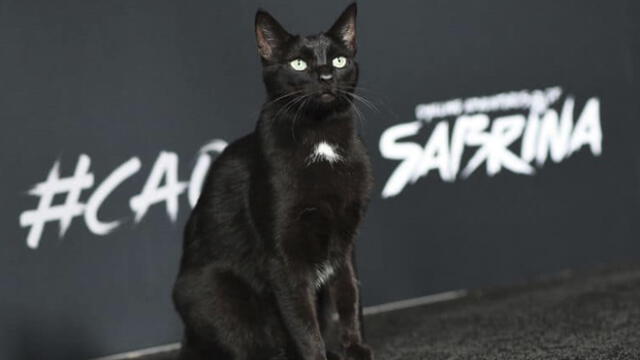 Netflix: Conoce a Salem de 'El Mundo Oculto de Sabrina' [FOTOS]