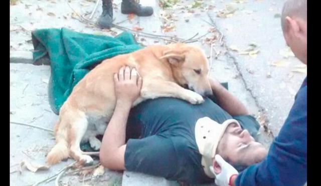 En Facebook, un perro 'cuidó' de su amo, hasta que llegaron los paramédicos a socorrerlo [FOTOS]