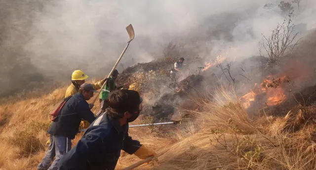 Comuneros capacitados y bomberos continúan con labores para apagar el incendio. Foto: Defensa Civil.