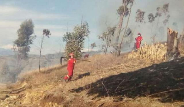 Bomberos  logran extinguir tres incendios forestales 