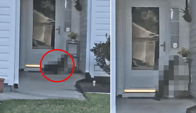 Facebook viral: llega a su casa y encuentra a misteriosa criatura tocando su puerta [VIDEO]