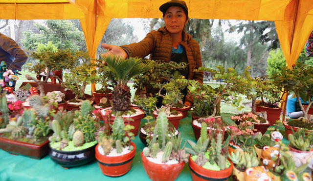 Campo de Marte: Feria 'De la Chacra a la Olla' ofrece una gran variedad de productos agrícolas [FOTOS]