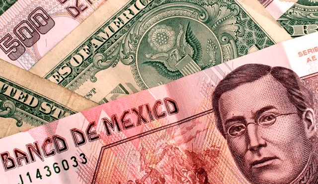 Dólar en México: Conoce el tipo de cambio para este viernes 24 de mayo de 2019