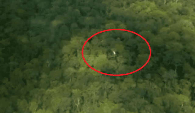 Iquitos: Personal de la FAP habría hallado restos de aeronave desaparecida
