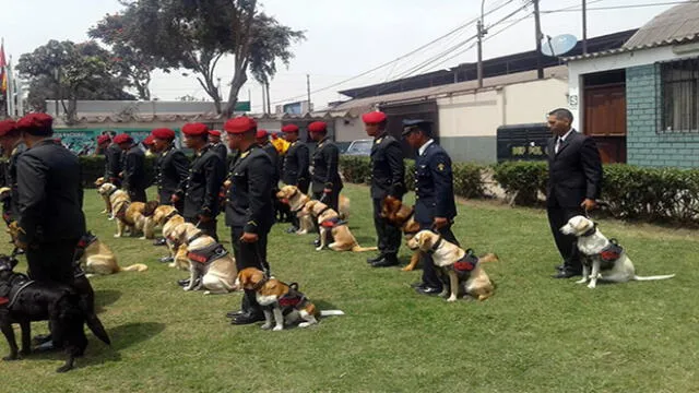 Sereno participa en Curso de canes junto a la PNP