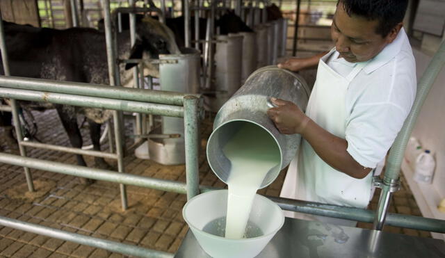 Congreso prohíbe uso de leche en polvo y aditivos en elaboración de leche evaporada