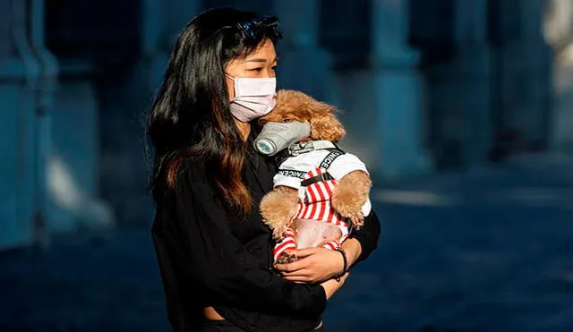 Una mujer y su perro pasean este viernes por la ciudad china de Cantón protegidos con una mascarilla. Foto: EFE