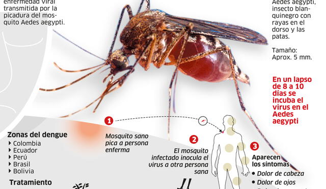 Situación del dengue en el Perú