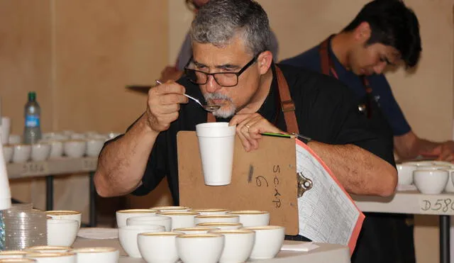 Perú realizará competencia de café con reconocimiento internacional