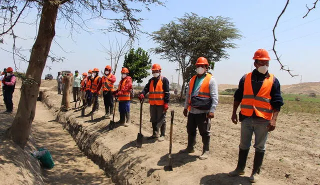 Minagri supervisa mantenimiento de 875 kilómetros de canales de riego