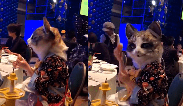 Facebook: joven con cabeza de gato sorprende a varios al asistir a fiesta en Japón [VIDEO]