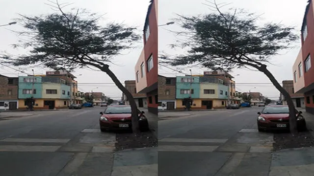 #YoDenuncio: cuestionan demora en tala de peligroso árbol 