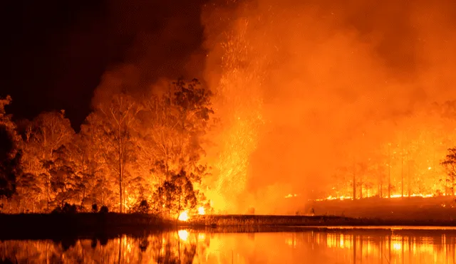 Incendio forestal en Australia. Foto: Twitter