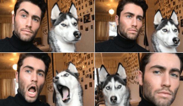 Twitter Viral: Comparte fotos de su perra imitándolo y miles hacen lo mismo [FOTOS]