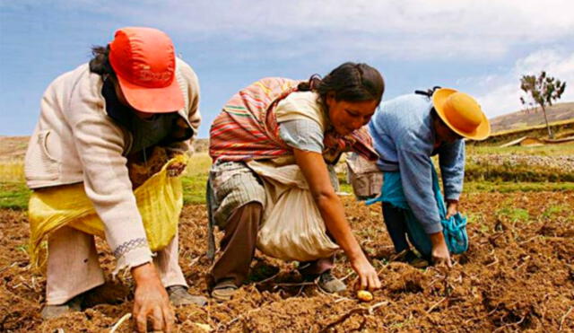 Midagri transfiere más de S/1,3 millones a favor de “Emprendimiento de la Mujer Rural e Indígena”