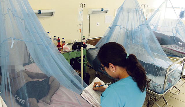 Dirección de Salud confirma muerte de tres personas más por dengue en Piura