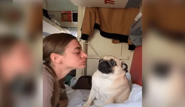 Video es viral en Instagram. La joven intentó ser cariñosa con su perro pug y se llevó una tremenda sorpresa cuando su mascota reaccionó de una forma muy curiosa. Foto: Captura.