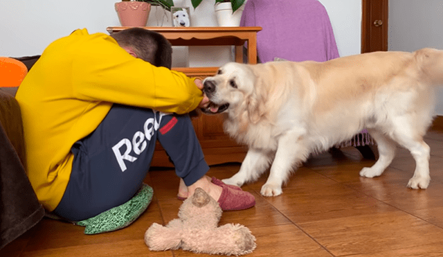 En YouTube se hizo viral la tierna reacción de un perro al notar que su dueño estaba triste.